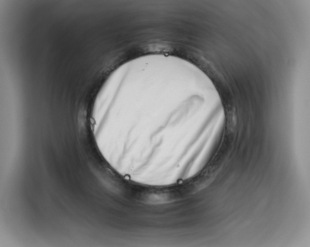 X0000113910263200910221339