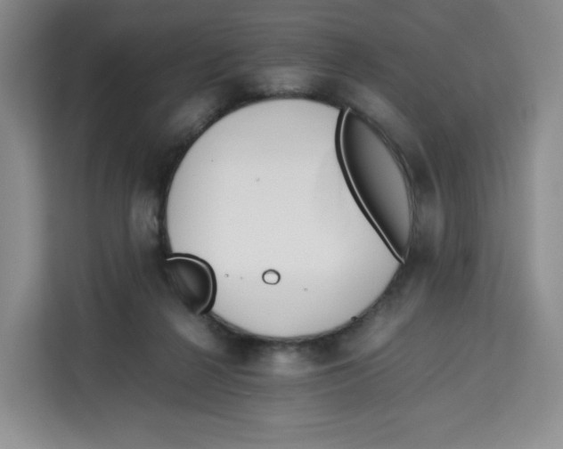X0000113910264200910221339
