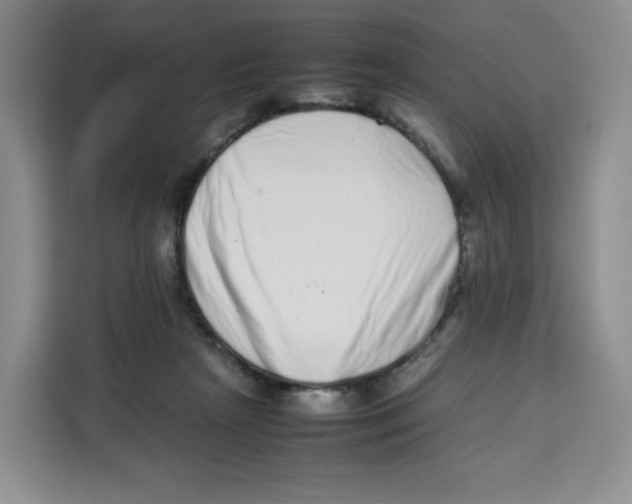 X0000113910265200910221339