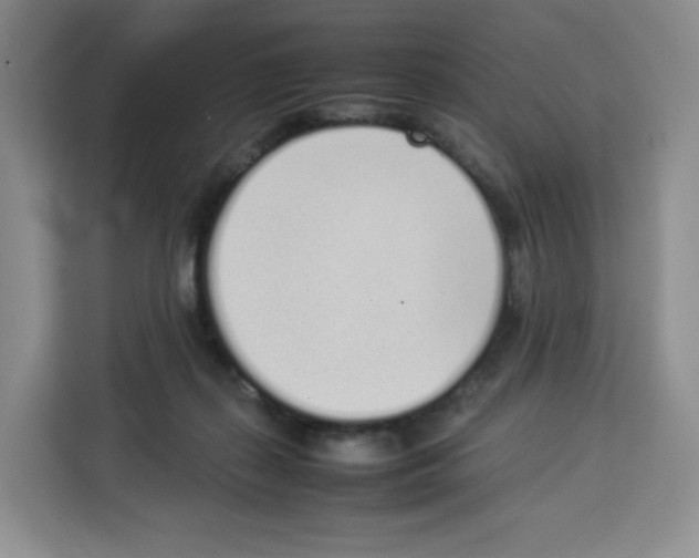 X0000113910267200910221339