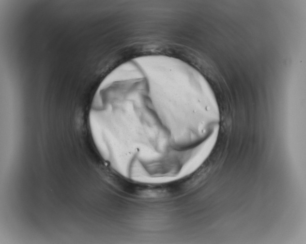 X0000113910270200910221339