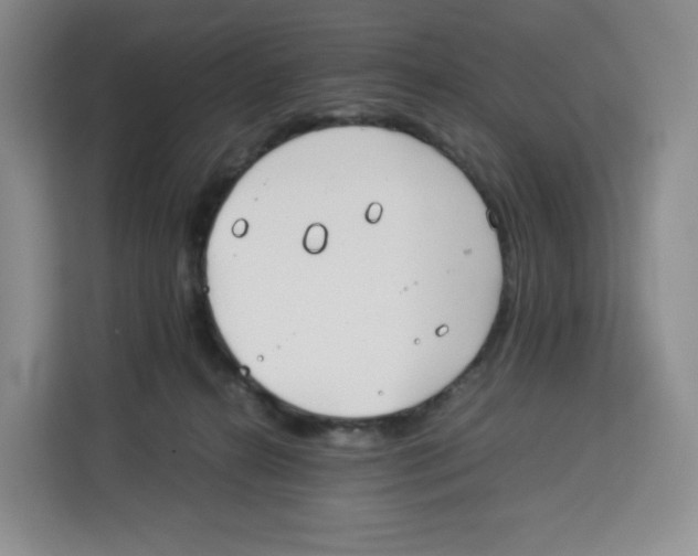 X0000113910272200910221339