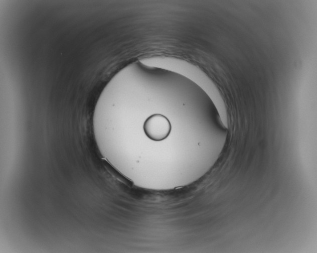 X0000113910276200910221339