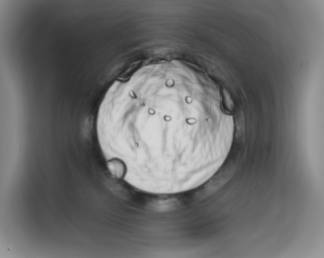 X0000113910278200910221339
