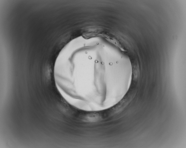X0000113910279200910221339