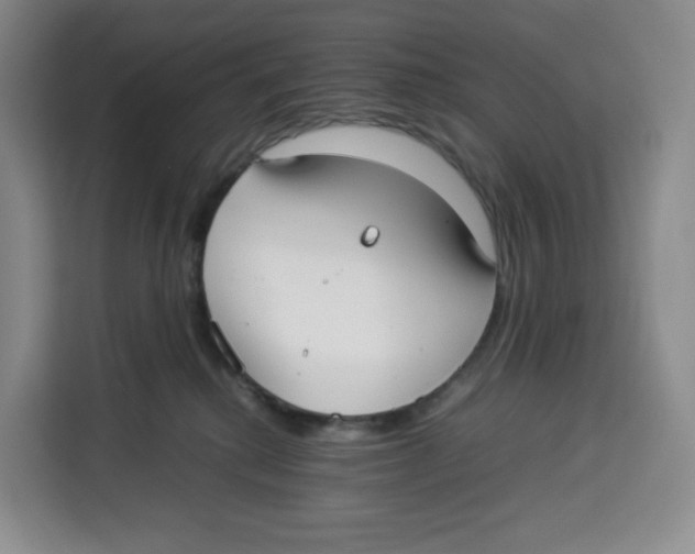 X0000113910280200910221339