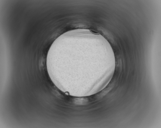 X0000113910281200910221339
