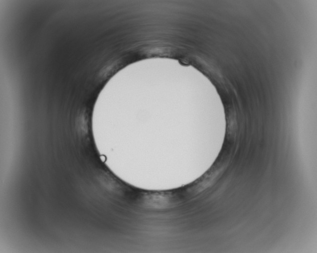 X0000113910282200910221339