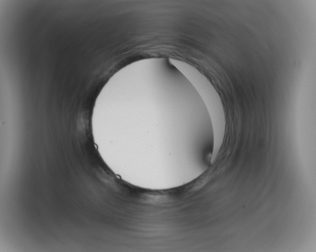 X0000113910284200910221339