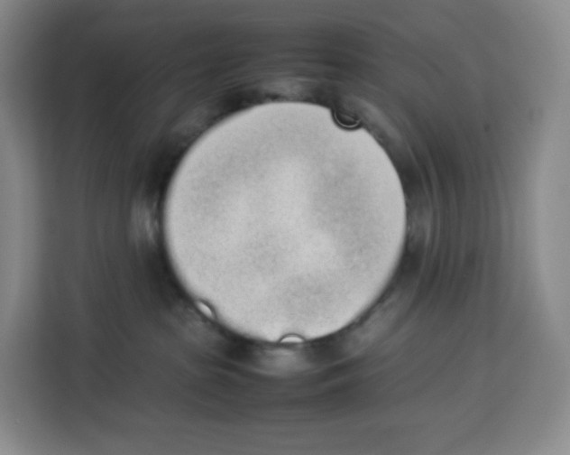 X0000113910285200910221339