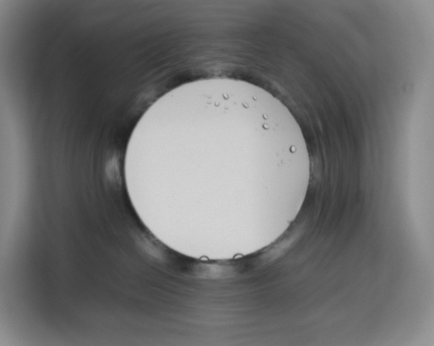 X0000113910286200910221340