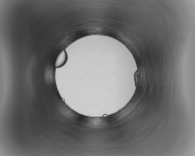 X0000113910287200910221340