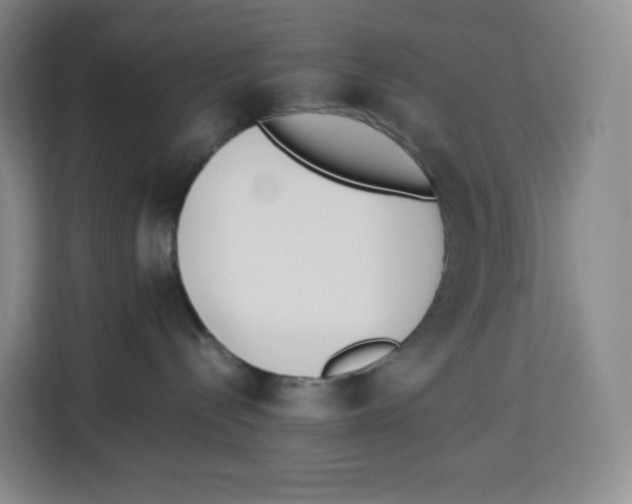 X0000113910288200910221340