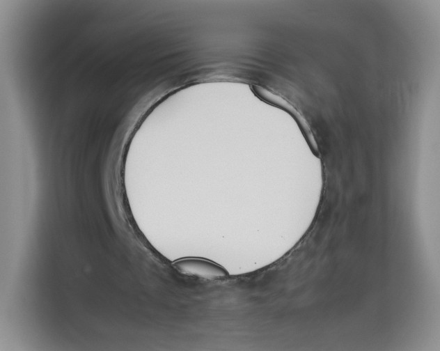 X0000113910289200910221339