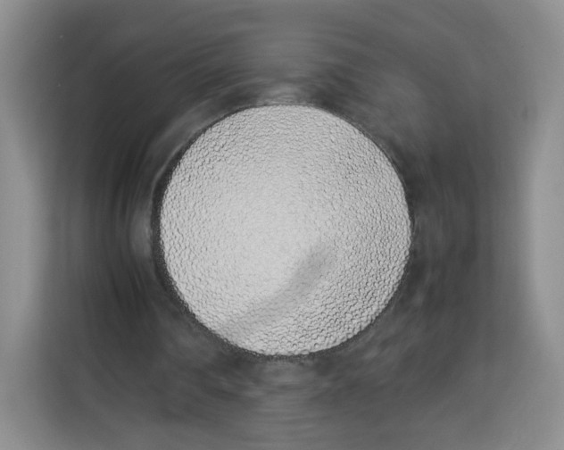 X0000113910290200910221339