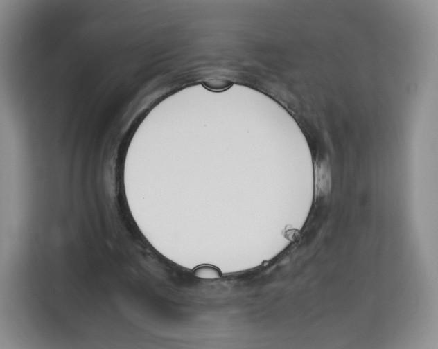 X0000113910291200910221339