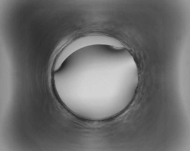 X0000113910293200910221339
