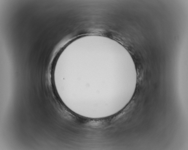 X0000113910294200910221339