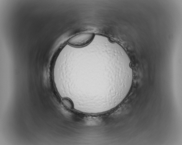 X0000113910296200910221339