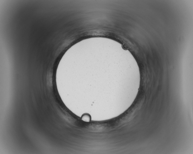 X0000113910299200910221339