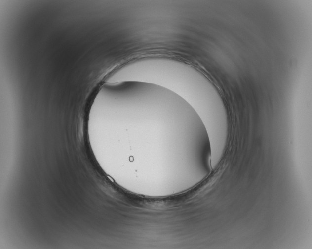 X0000113910301200910221339