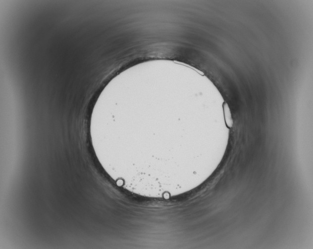 X0000113910305200910221339