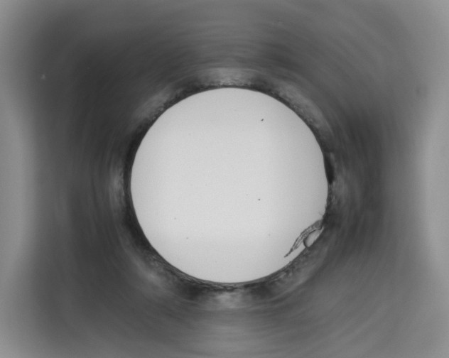 X0000113910306200910221339