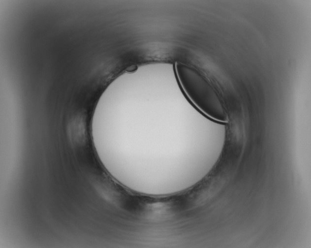 X0000113910312200910221339