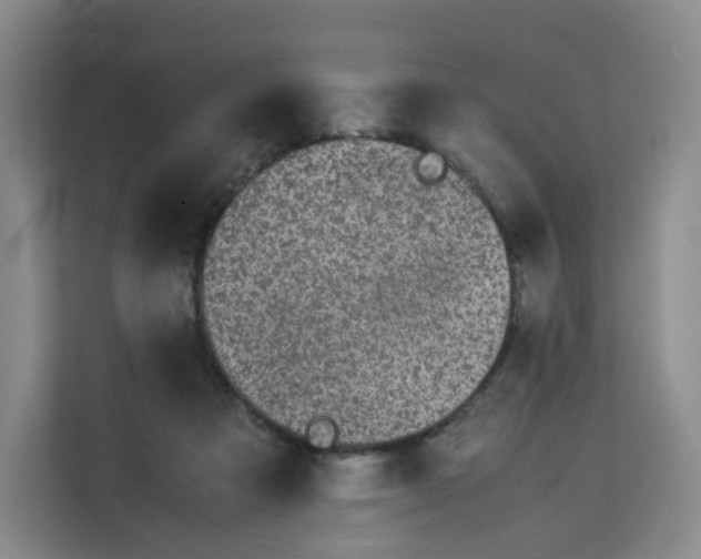 X0000113910313200910221339