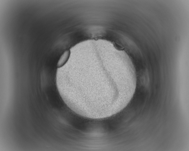 X0000113910316200910221339