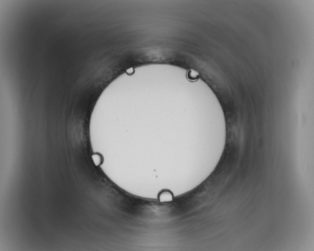 X0000113910317200910221339