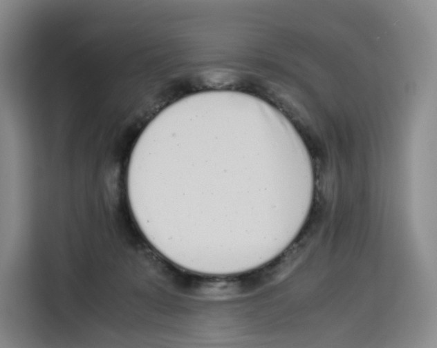 X0000113910319200910221339