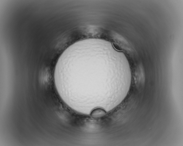 X0000113910320200910221339