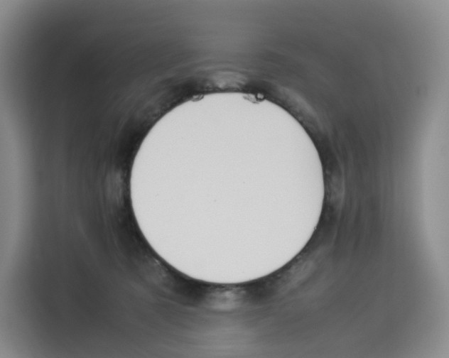 X0000113910321200910221338