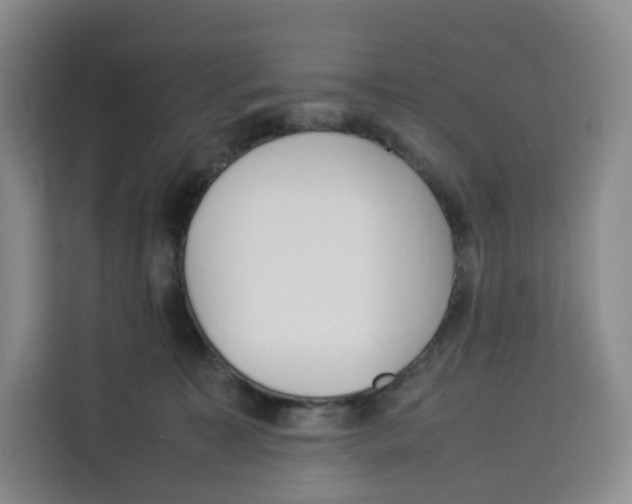 X0000113910323200910221338