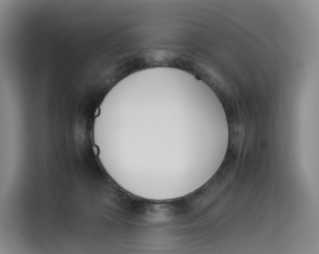 X0000113910324200910221338