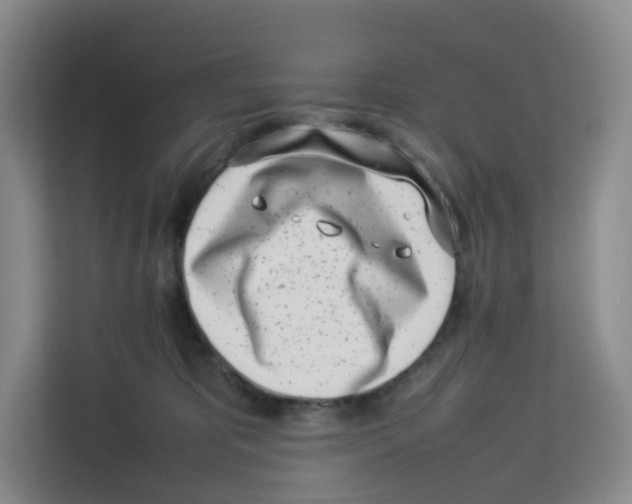 X0000113910325200910221338