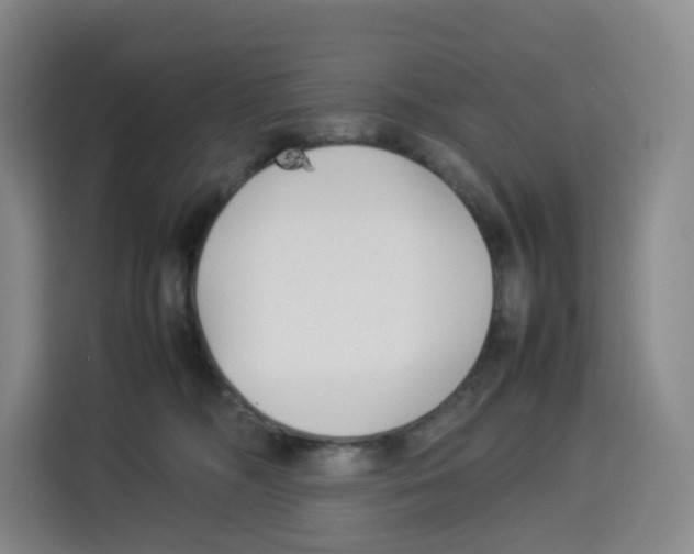 X0000113910326200910221338