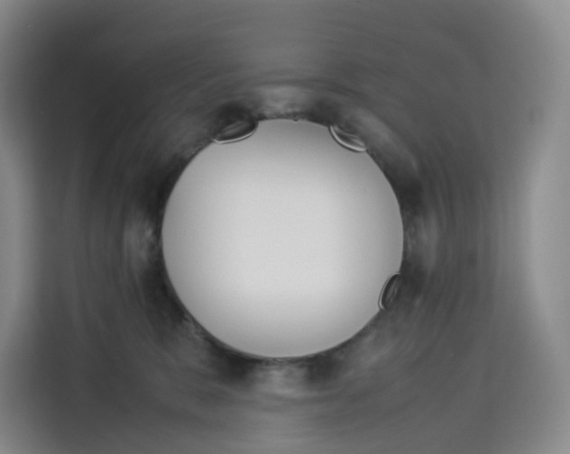 X0000113910327200910221338