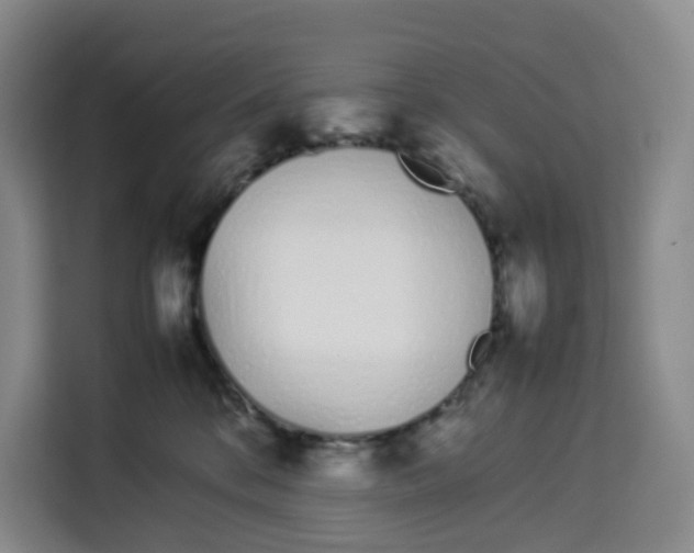 X0000113910328200910221338