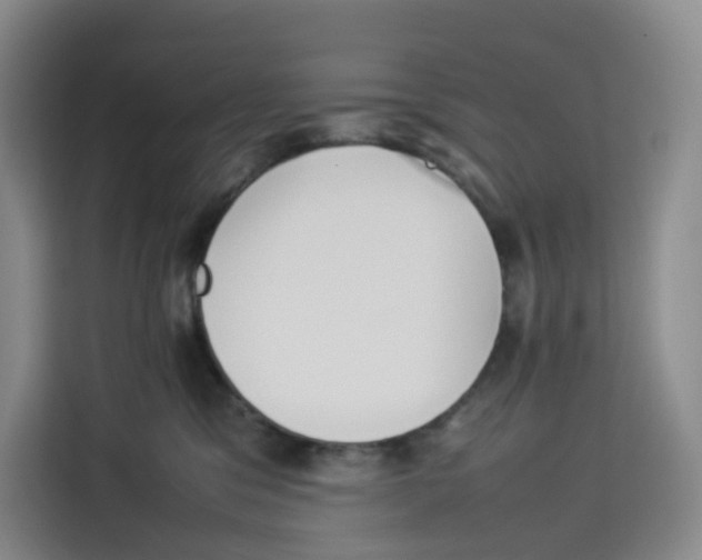 X0000113910329200910221338