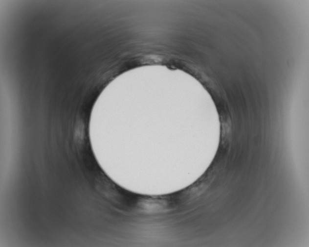 X0000113910331200910221338