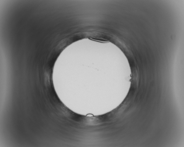 X0000113910333200910221338