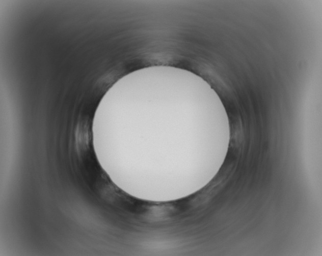 X0000113910334200910221338