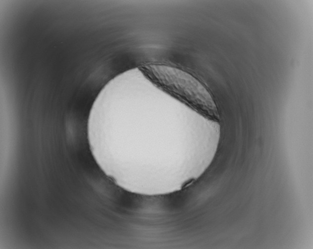 X0000113910336200910221338