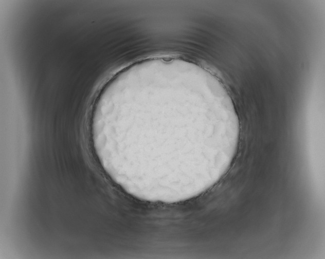 X0000113910337200910221338