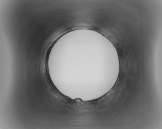 X0000113910338200910221338