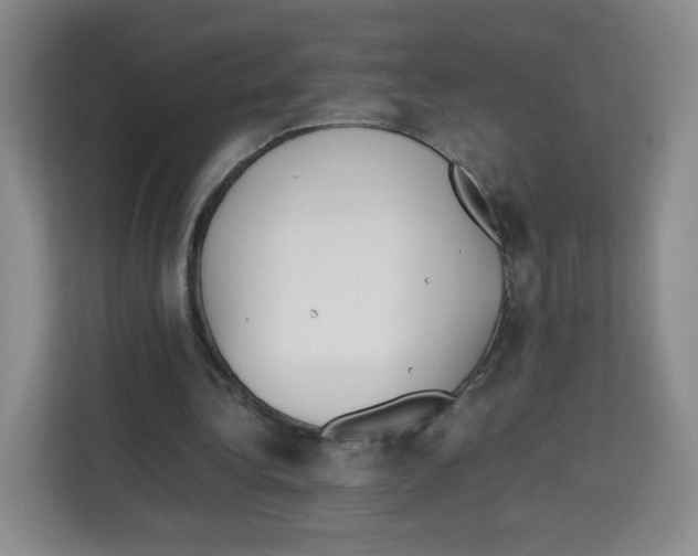 X0000113910340200910221338