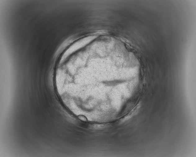 X0000113910341200910221338