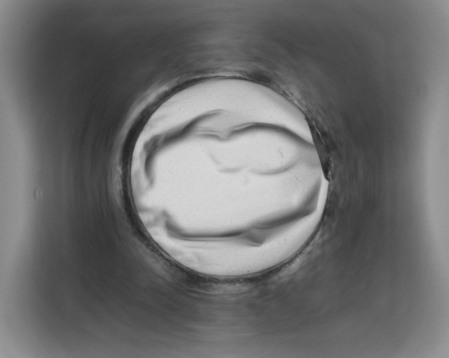 X0000113910342200910221338